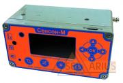 Фото мультигазового переносного газоанализатора "Сенсон-М-3007"